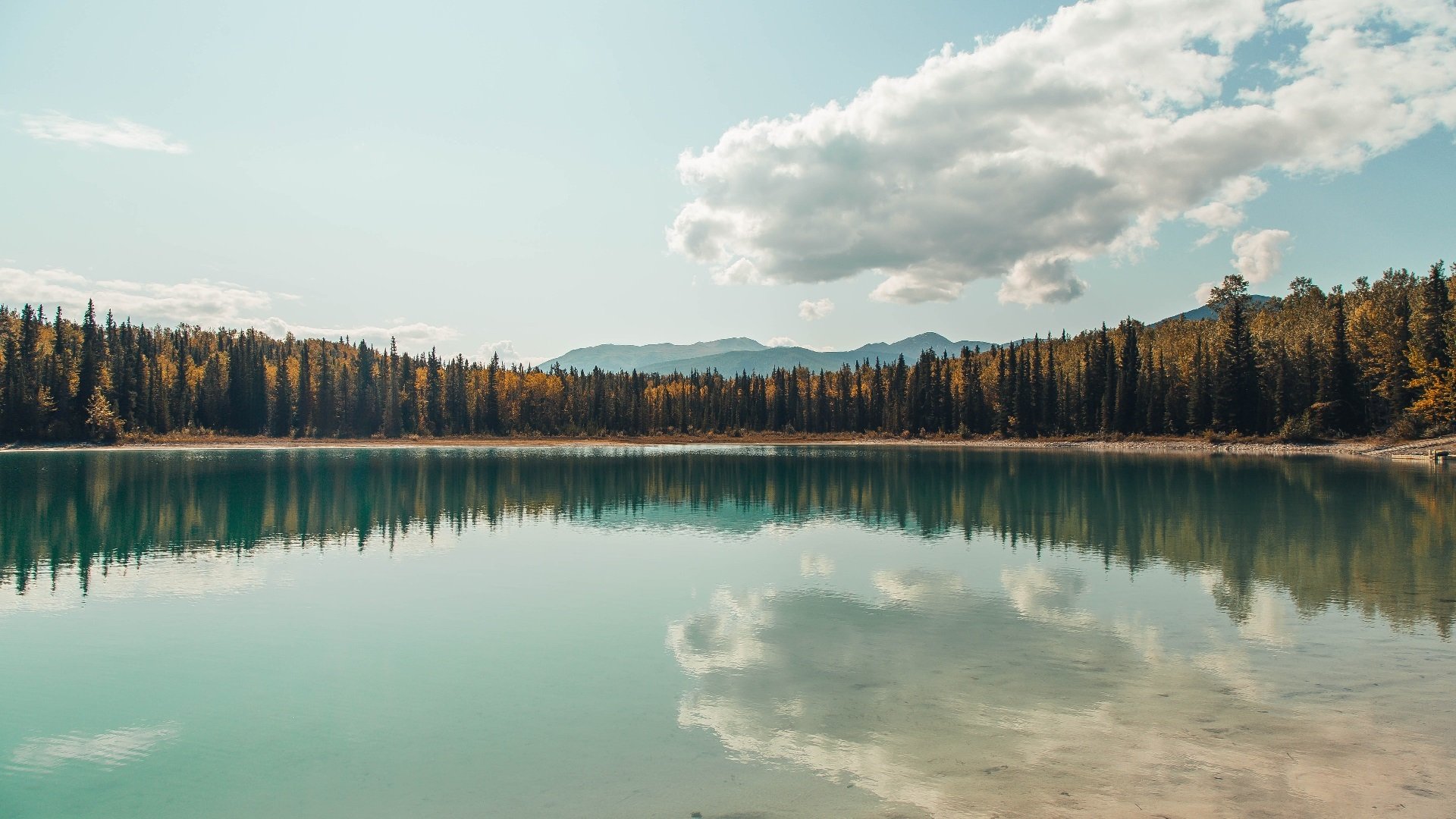 开云体育-图卢兹年轻中场天赋异禀，图卢兹吧