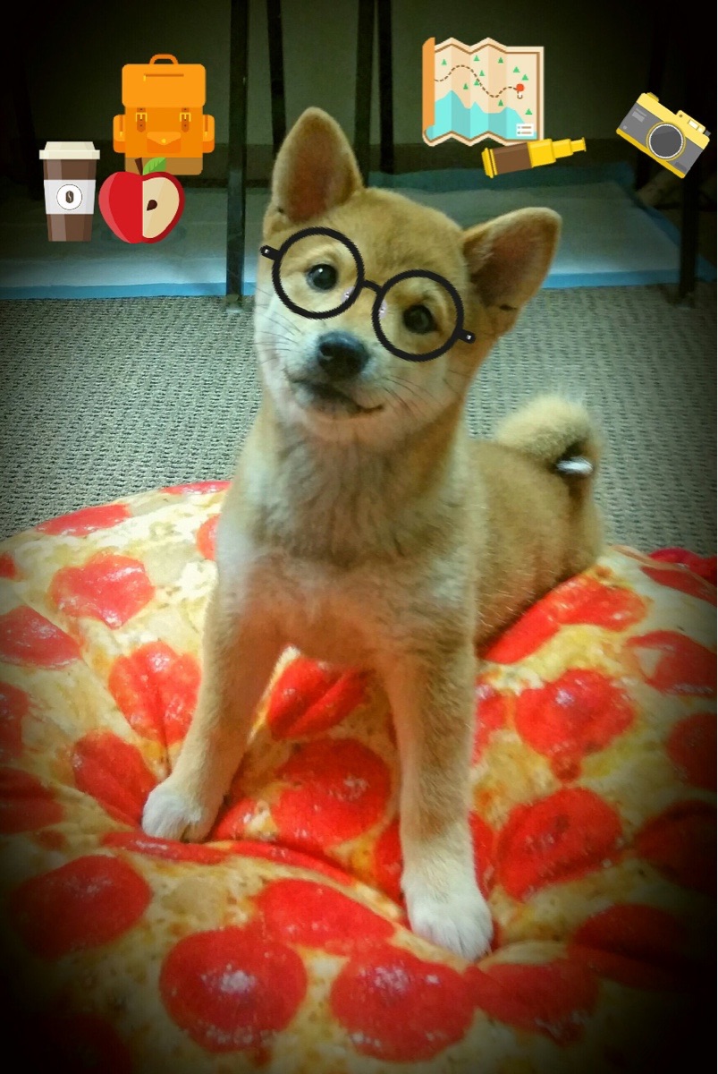 KAIYUN 中国大陆-德甲比赛精彩纷呈，变化多端的战术带来丰富看点，德甲赛制规则