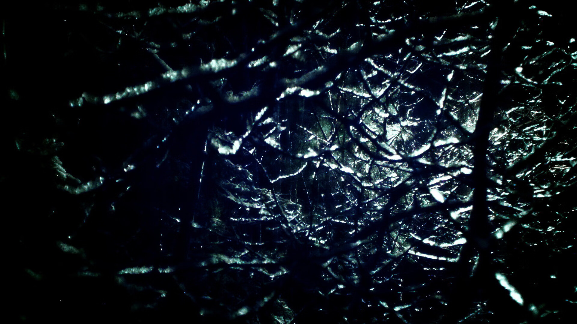 kaiyun中国官方网站-伊朗马术协会举办青少年马术交流活动，促进国际友谊。，伊朗运动员马赛克