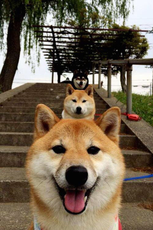 华盛顿联主场战平斯托克城,积分有所增加,华盛顿有哪只球队