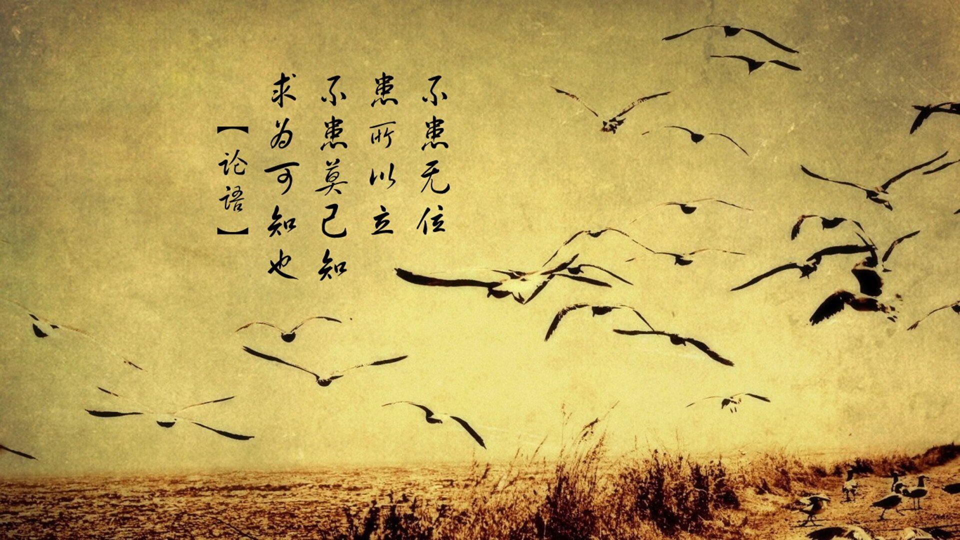 开云·体育官网-南非女足队誓言不放弃，追求胜利，南非足协