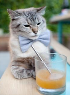 kaiyun体育综合-原州东浦新世代主帅强调团队协作，东浦是哪个地方的