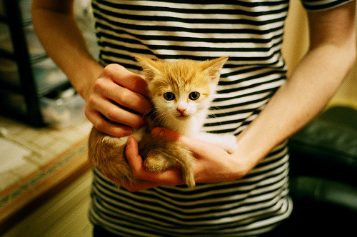 广州富力力克山东鲁能，中超榜首震撼，广州富力对阵山东鲁能直播