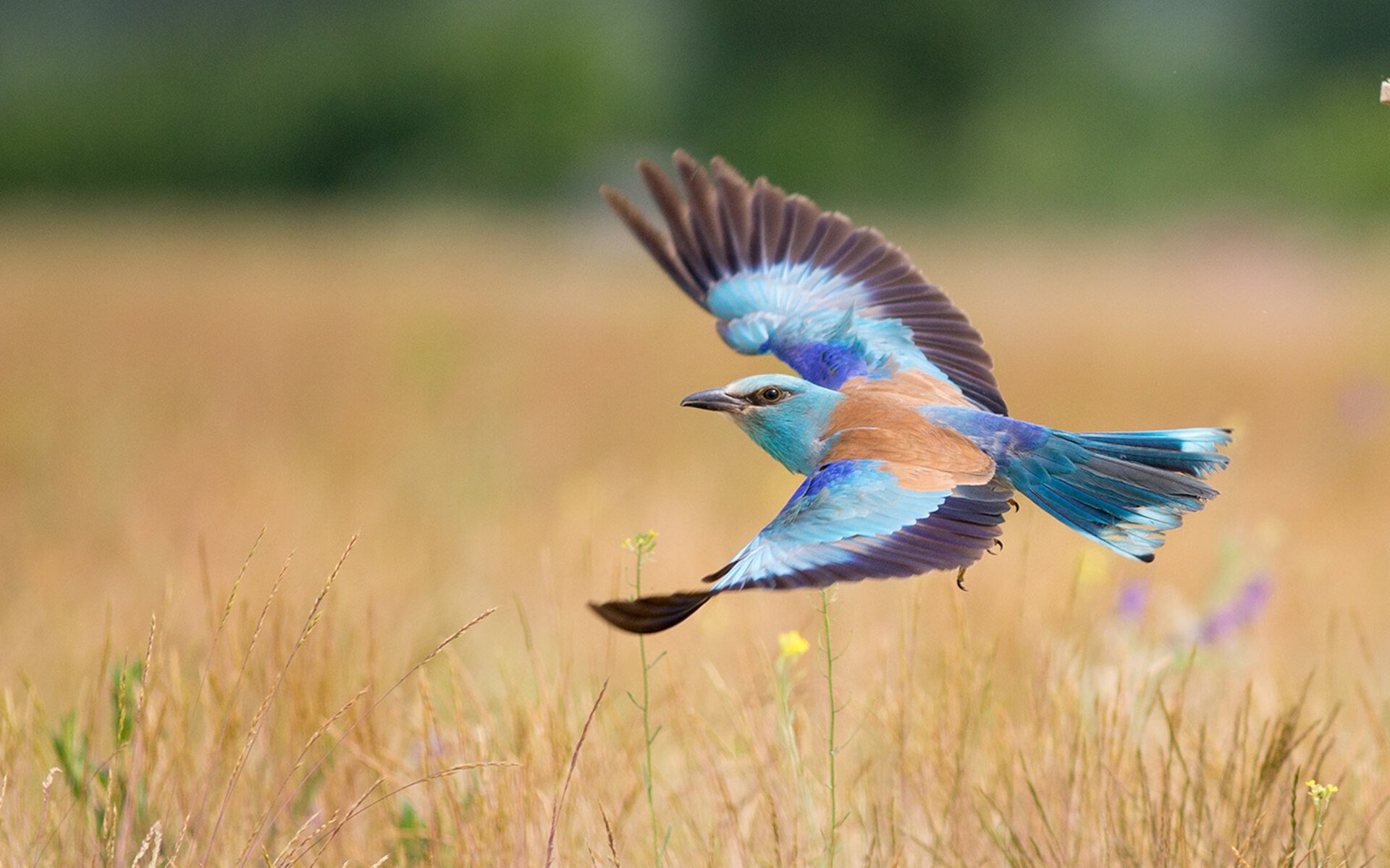 开云体育APP下载-球员是否应拥有更多话语权，球员是否应拥有更多话语权呢