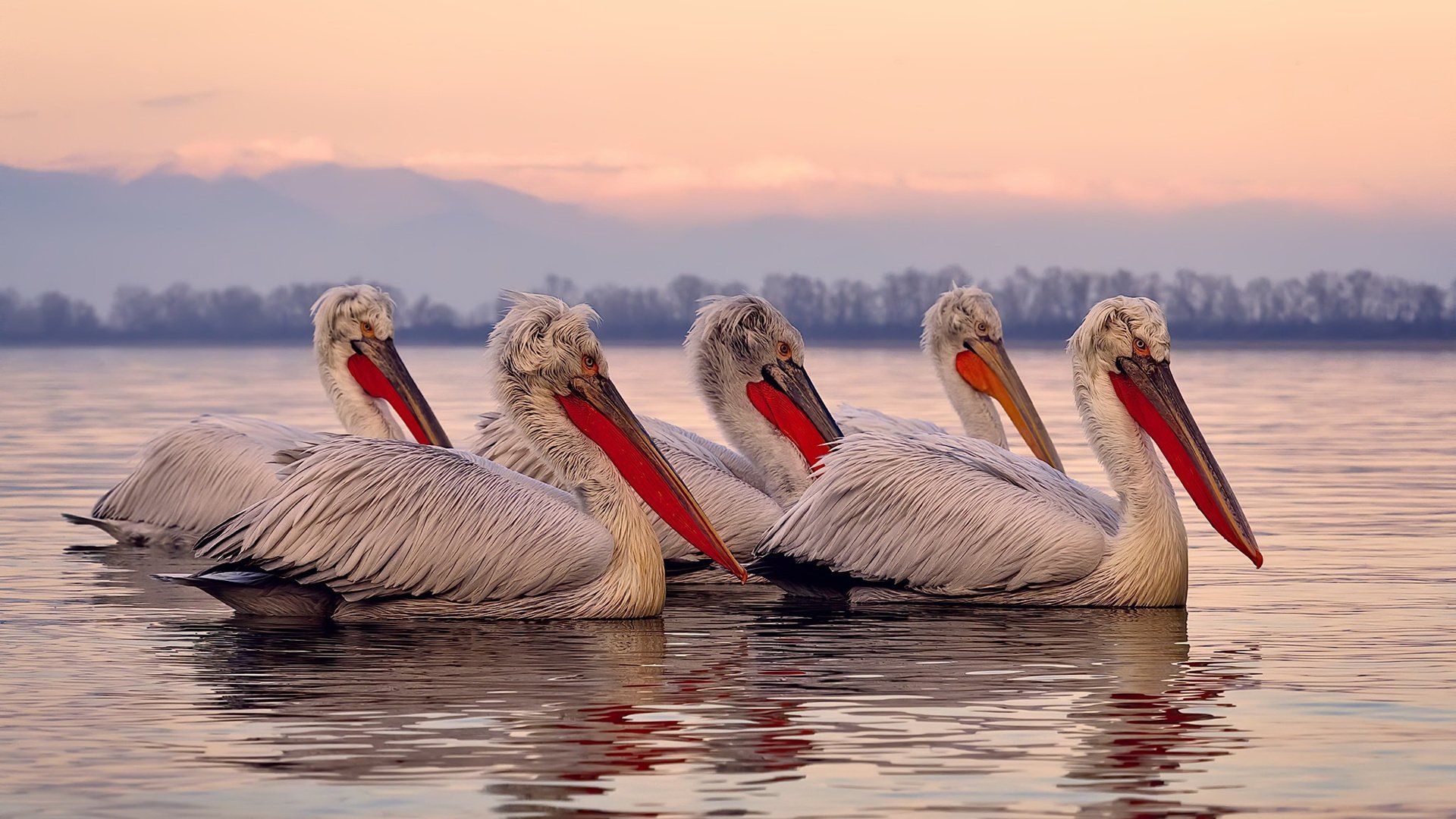 kaiyun体育app-阿贾克斯势不可挡，欧冠四强突围告急！，欧冠王朝阿贾克斯