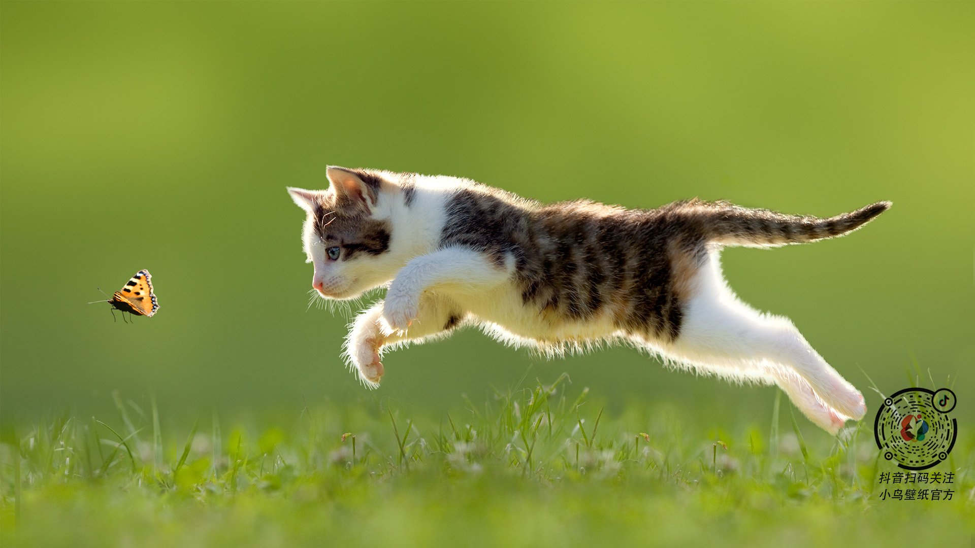 kaiyun网站-黄蜂队客场逆转对手，展现出强大的意志力，黄蜂队介绍