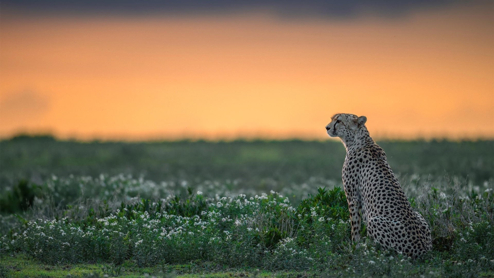 NBA球员赛季体能恢复策略与科学管理,nba球员体测数据公布最新