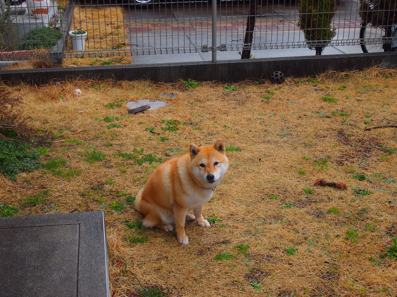 开云官方网站-国足前场推进路线趋势对比，国足前四场比赛