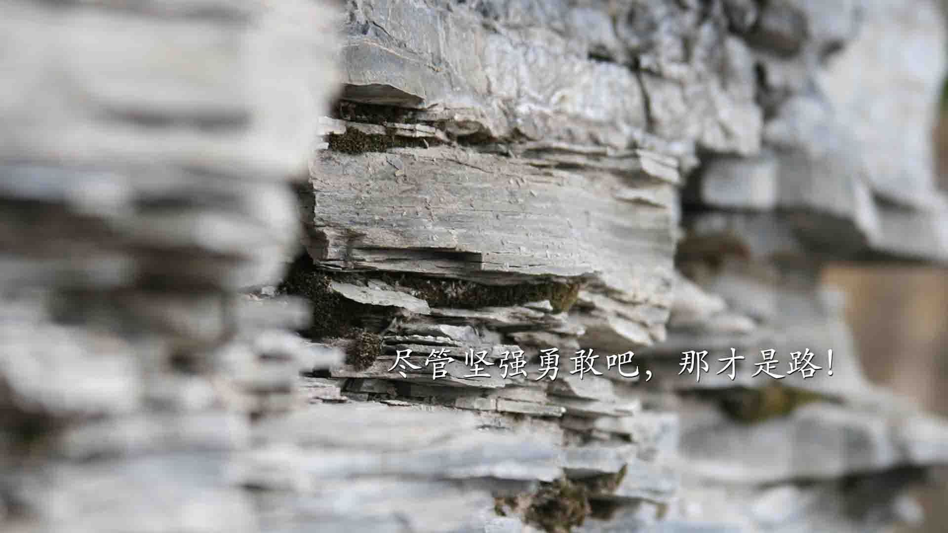 中国男篮强化末节执行力提升关键球处理能力,中国男子篮球联赛纪律准则