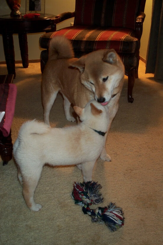 五大联赛门将出球模式变化与球队传导效率关联,门将出来踢球