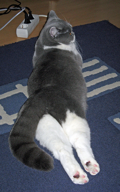 开云入口-体育新闻中心发布体育新闻内容原创度监测工具，最新体育新闻文字版