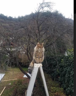 开云官网APP下载-女子200蝶滑行距离排行榜，女子200米蝶泳百度百科