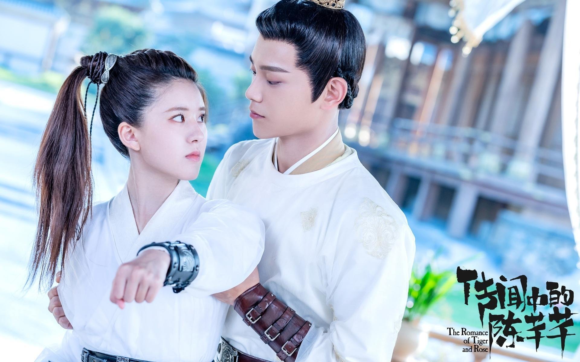 职业联赛竞争力与观众吸引力关系,职业联赛的作用