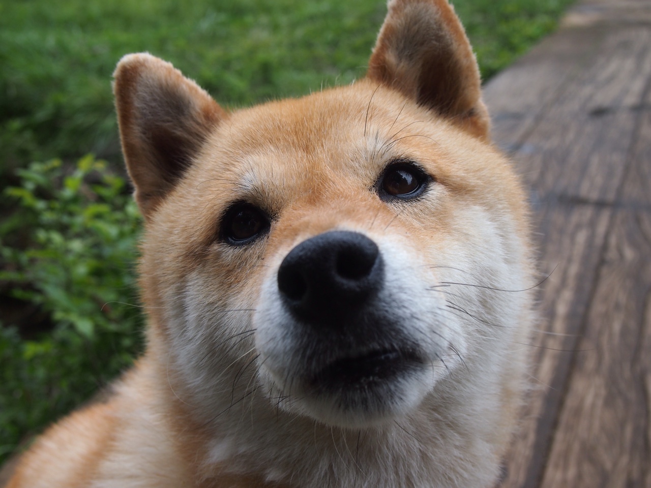 KAIYUN 中国大陆-体育新闻中心通报运动队心理支持体系构建方案，运动员心理疏导