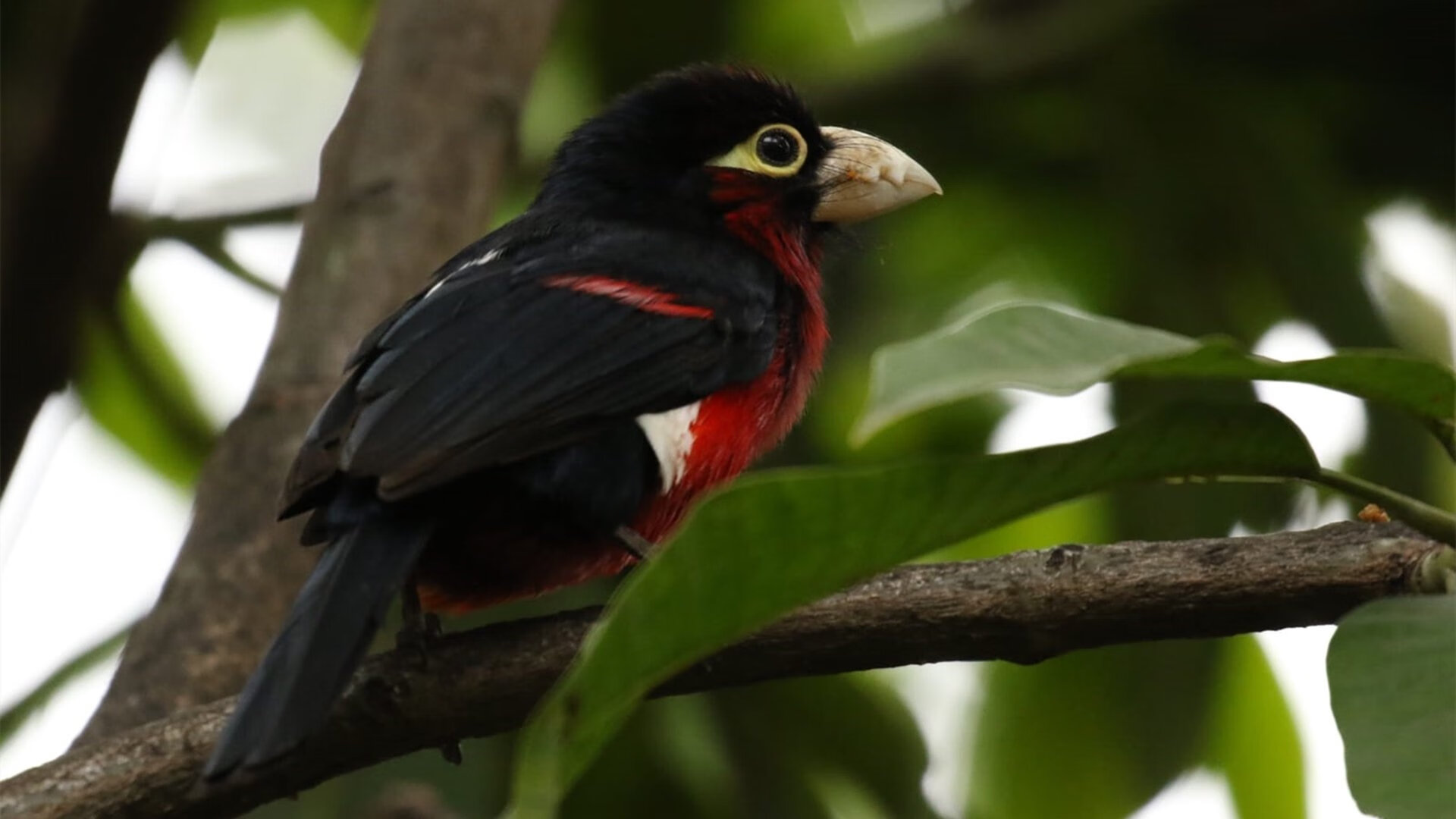 开云网页版登录入口-张伟丽接受康复训练备战新一轮挑战，张伟丽训练照片